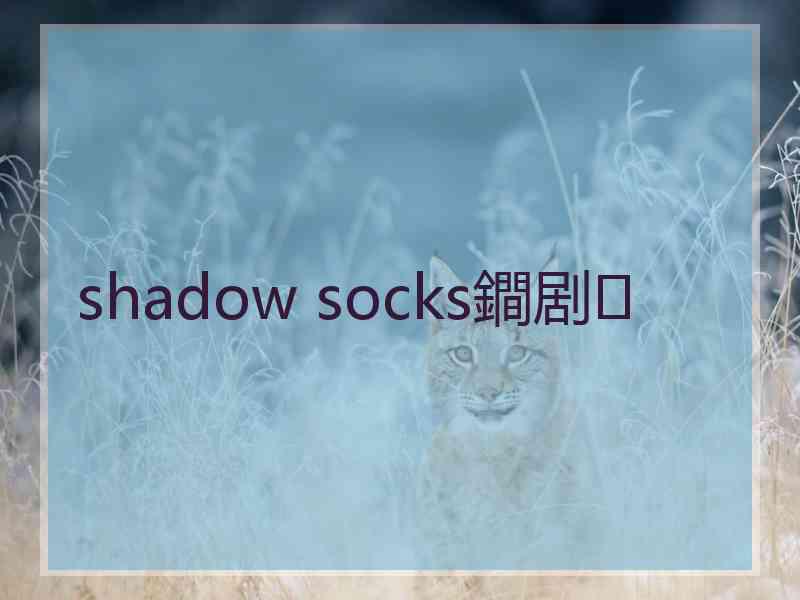 shadow socks鐧剧