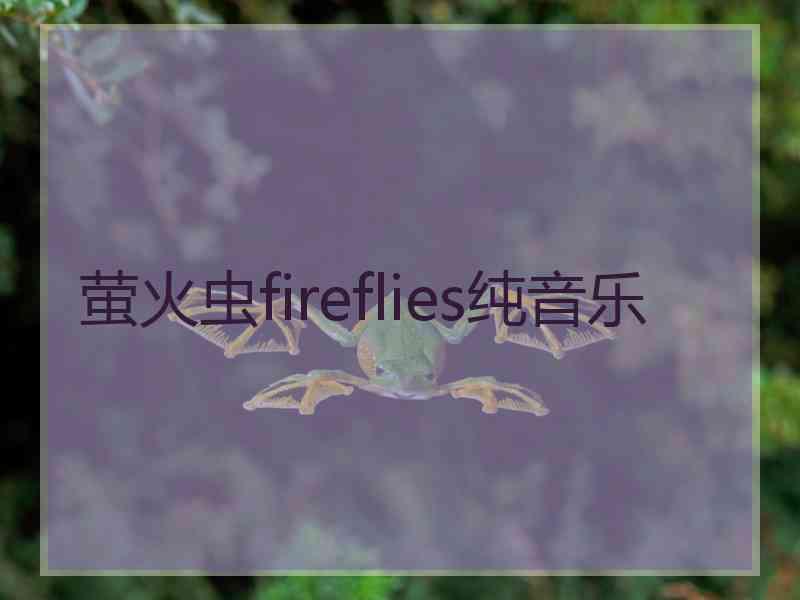 萤火虫fireflies纯音乐