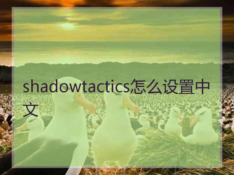 shadowtactics怎么设置中文