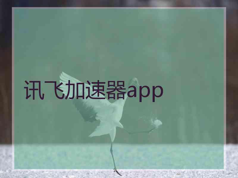 讯飞加速器app