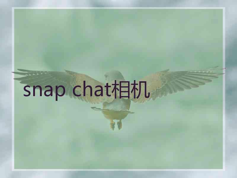 snap chat相机