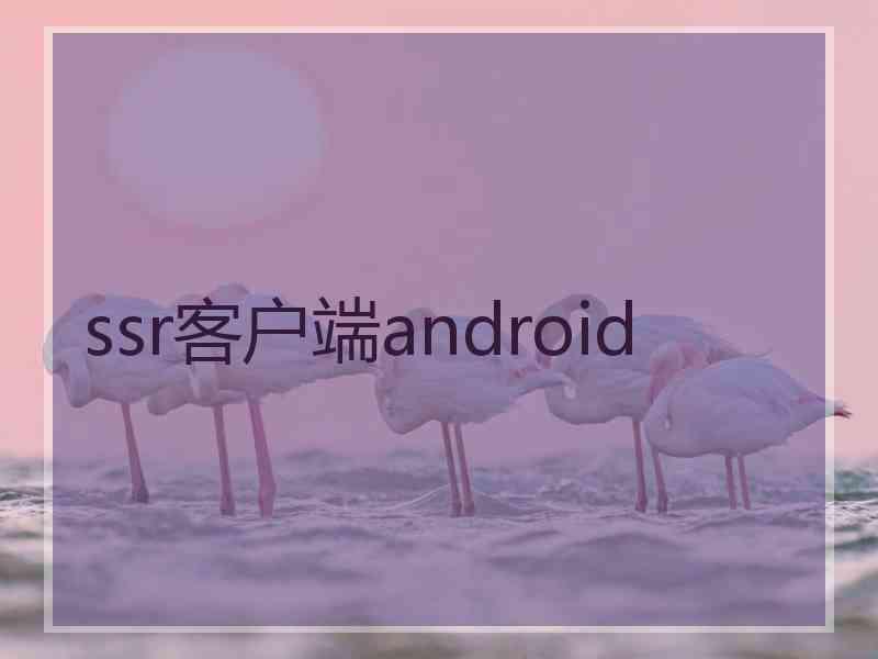 ssr客户端android