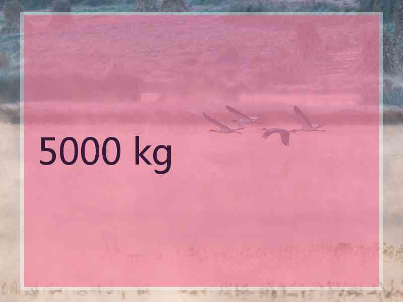 5000 kg