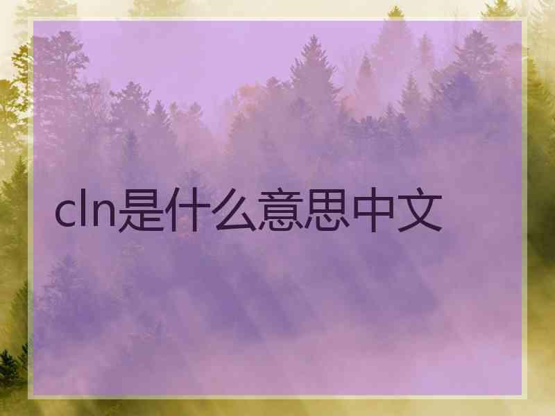 cln是什么意思中文