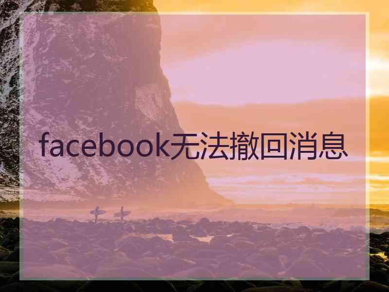 facebook无法撤回消息