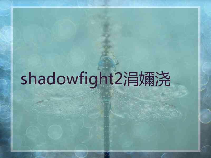 shadowfight2涓嬭浇