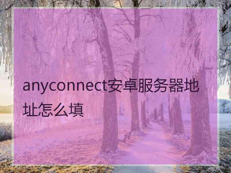 anyconnect安卓服务器地址怎么填