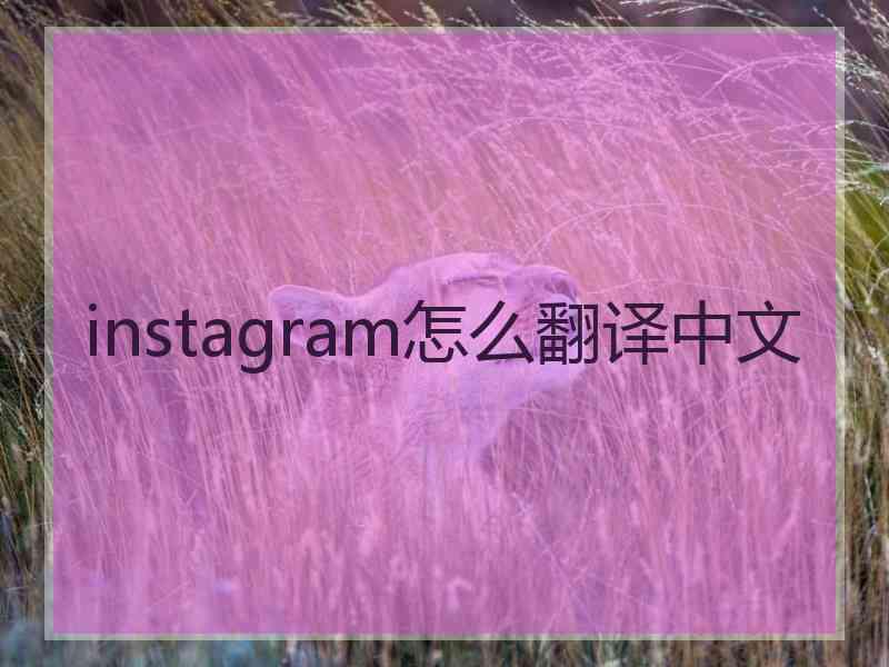 instagram怎么翻译中文