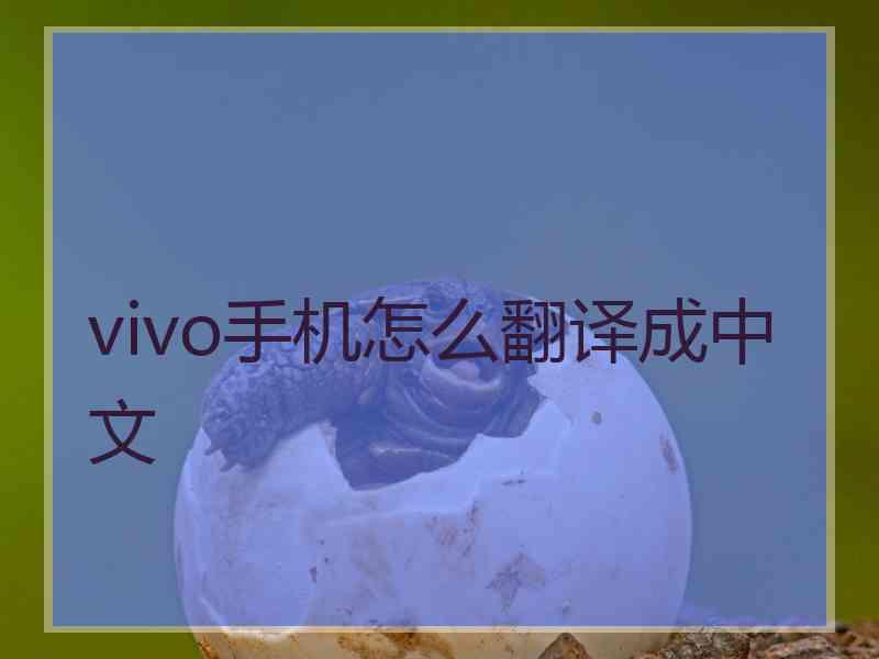 vivo手机怎么翻译成中文