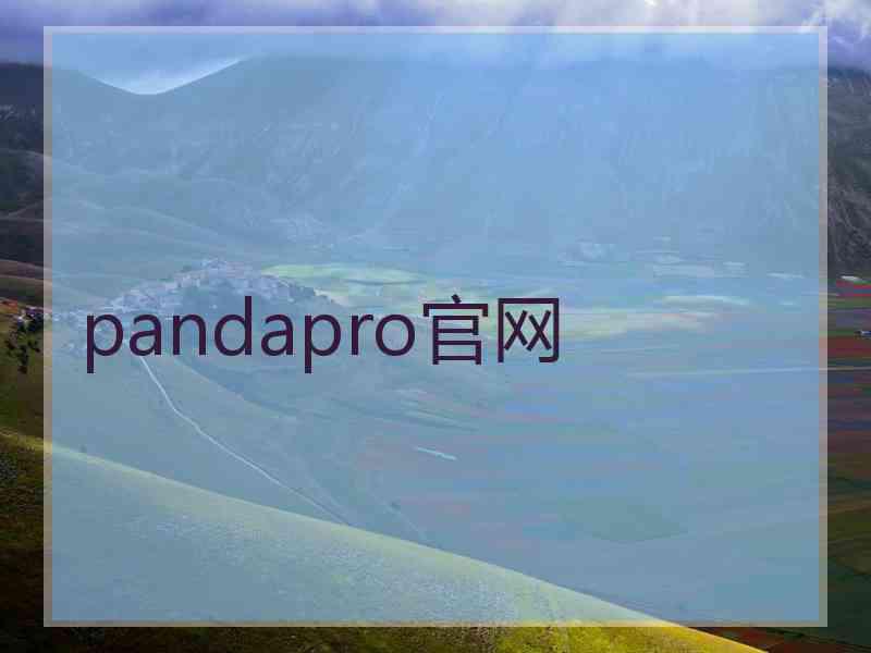pandapro官网