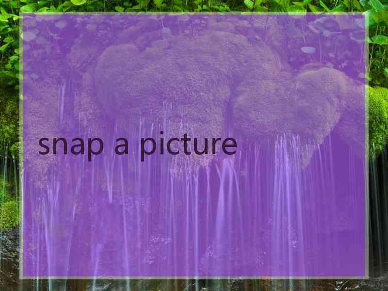 snap a picture