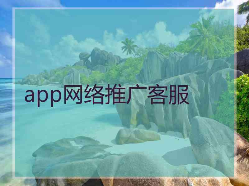 app网络推广客服
