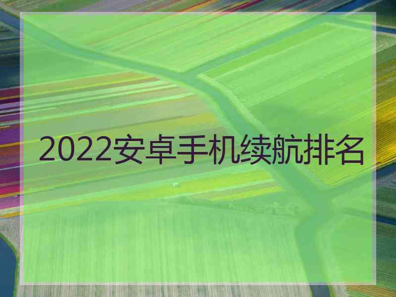 2022安卓手机续航排名