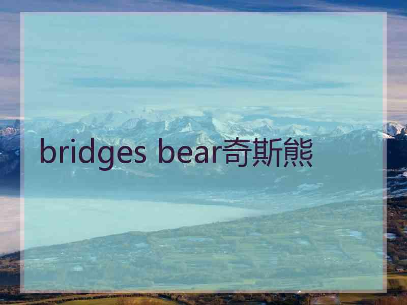 bridges bear奇斯熊