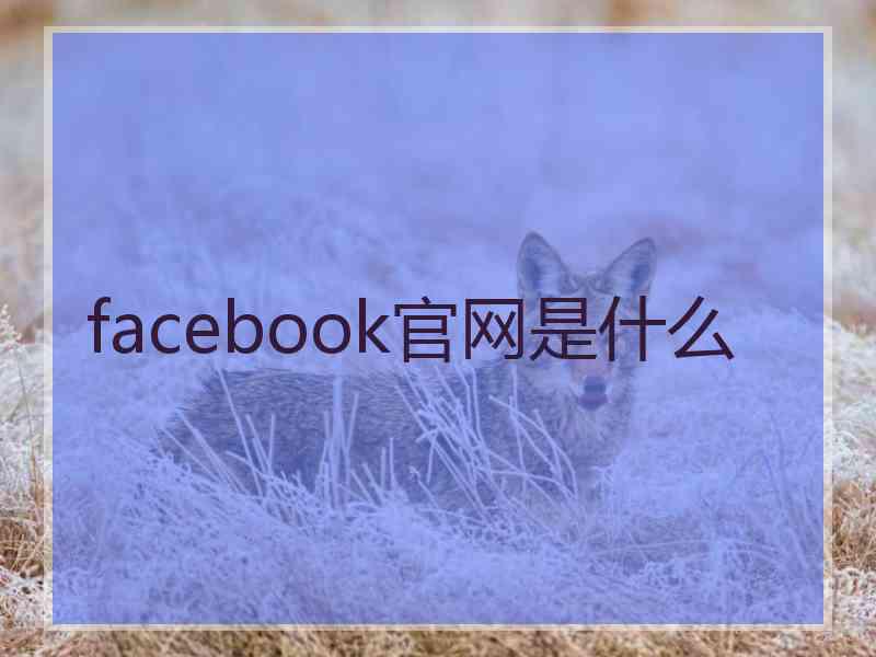 facebook官网是什么