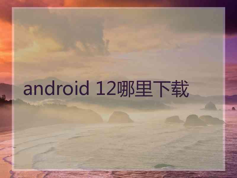 android 12哪里下载