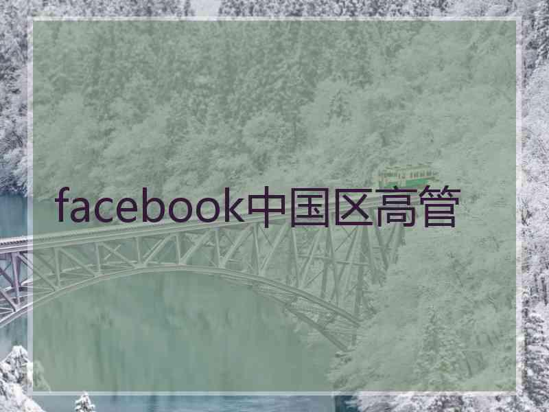 facebook中国区高管