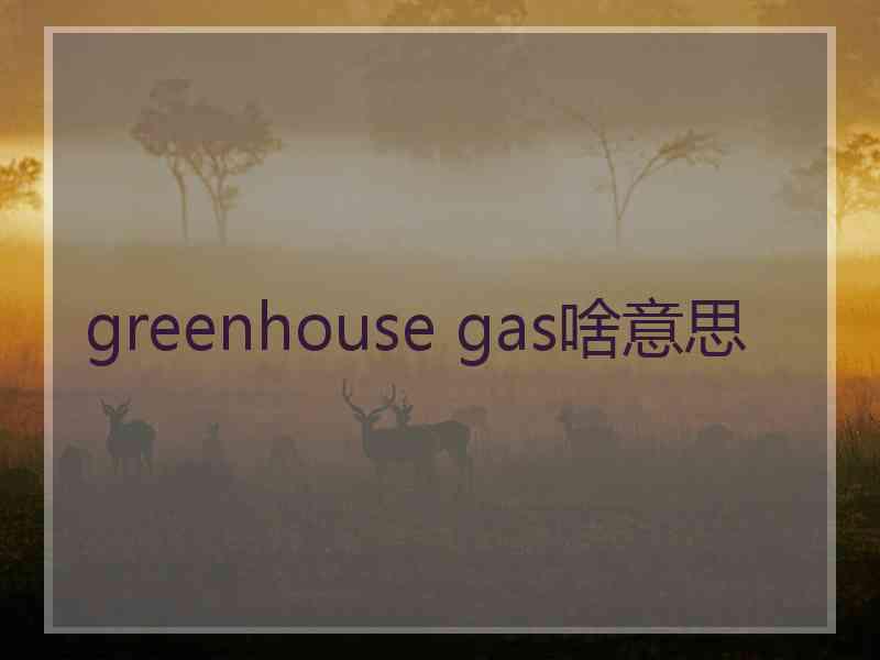 greenhouse gas啥意思