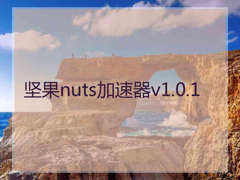 坚果nuts加速器v1.0.1