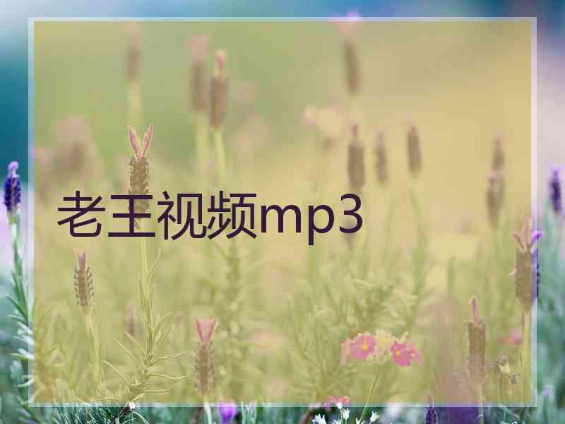 老王视频mp3