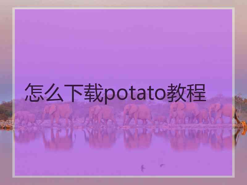 怎么下载potato教程