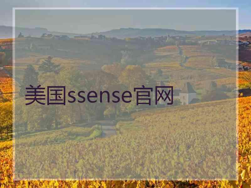 美国ssense官网