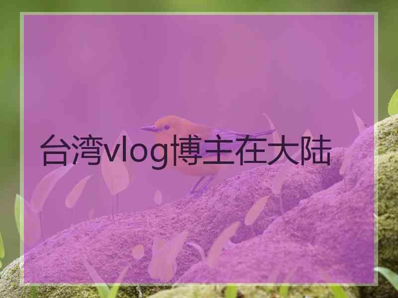 台湾vlog博主在大陆