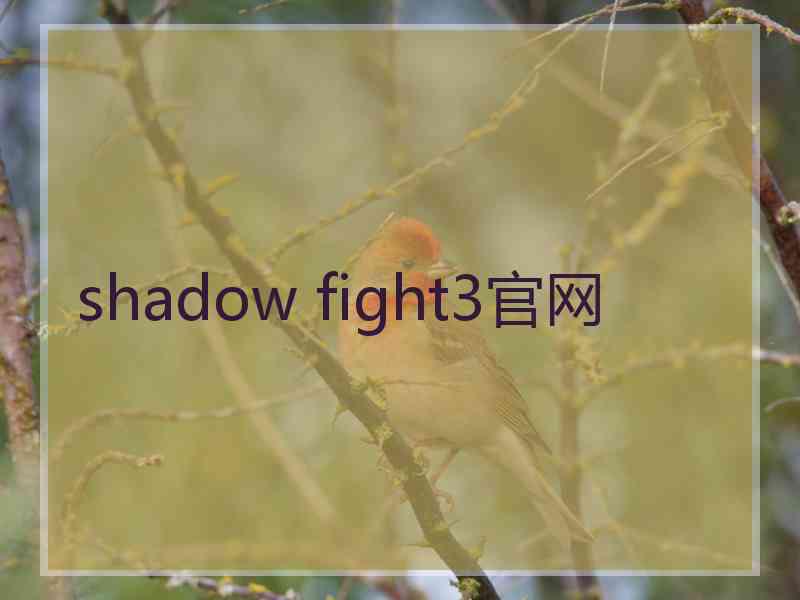 shadow fight3官网
