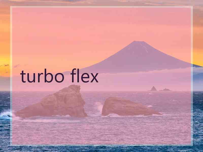 turbo flex