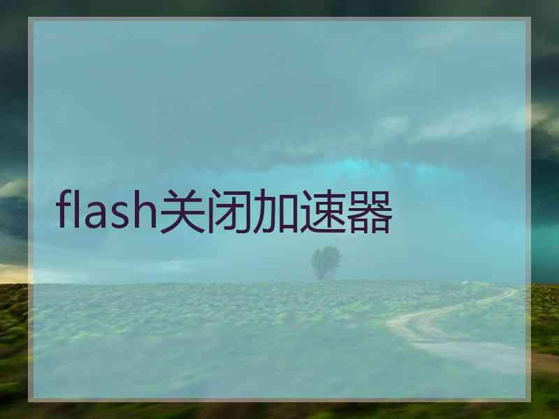 flash关闭加速器