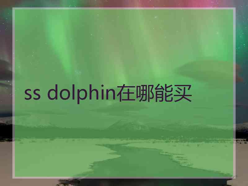 ss dolphin在哪能买