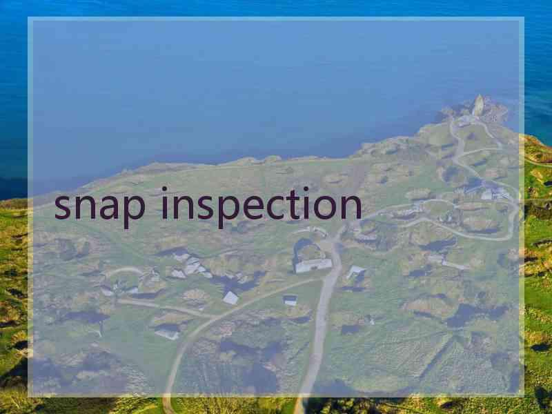 snap inspection