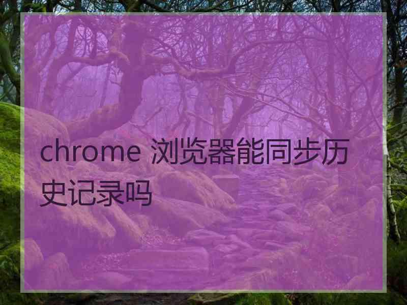 chrome 浏览器能同步历史记录吗