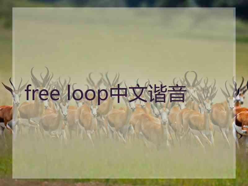 free loop中文谐音