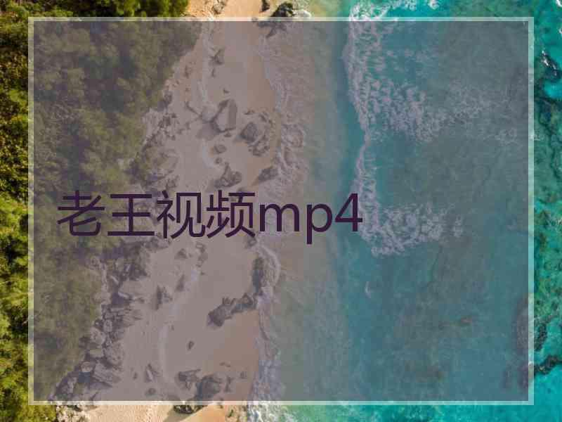 老王视频mp4