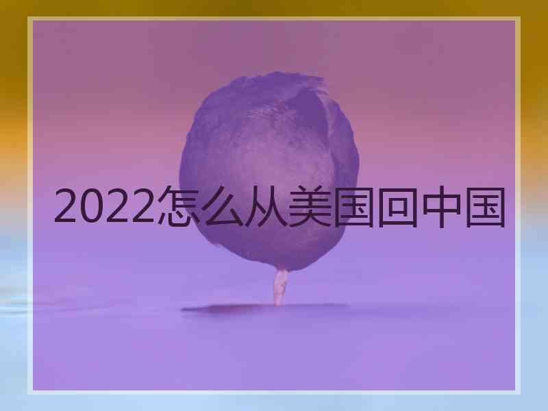 2022怎么从美国回中国