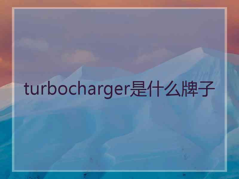 turbocharger是什么牌子