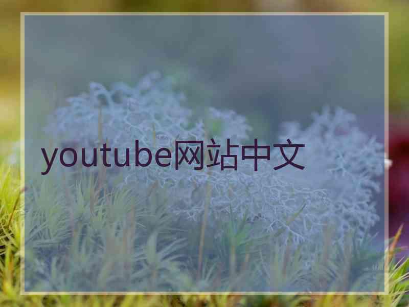 youtube网站中文