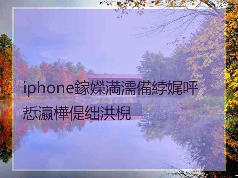 iphone鎵嬫満濡備綍娓呯悊瀛樺偍绌洪棿