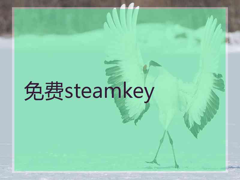 免费steamkey