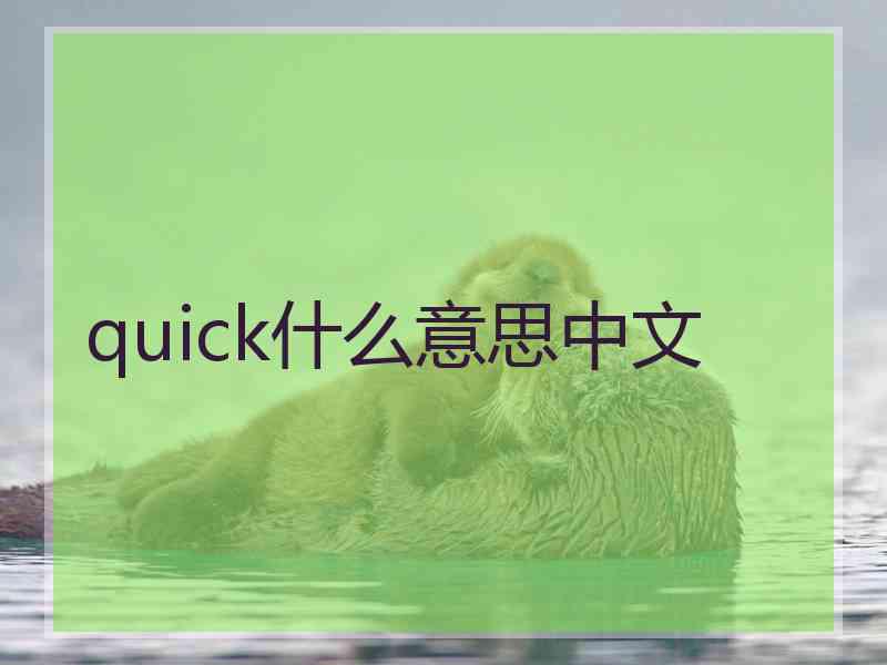 quick什么意思中文