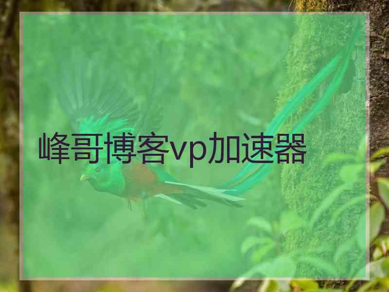 峰哥博客vp加速器