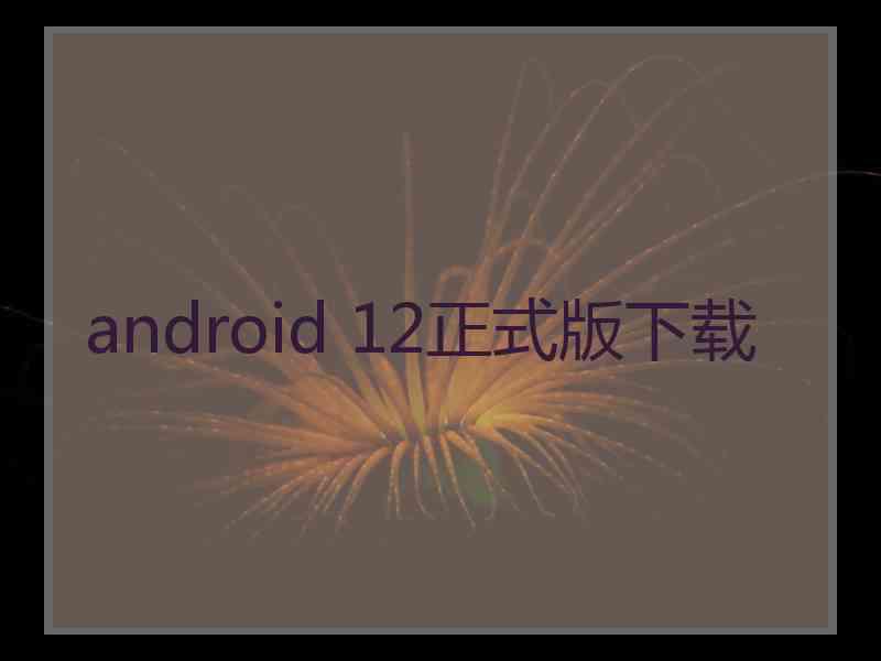 android 12正式版下载