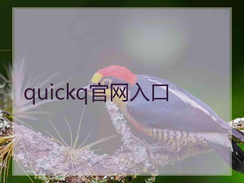 quickq官网入口