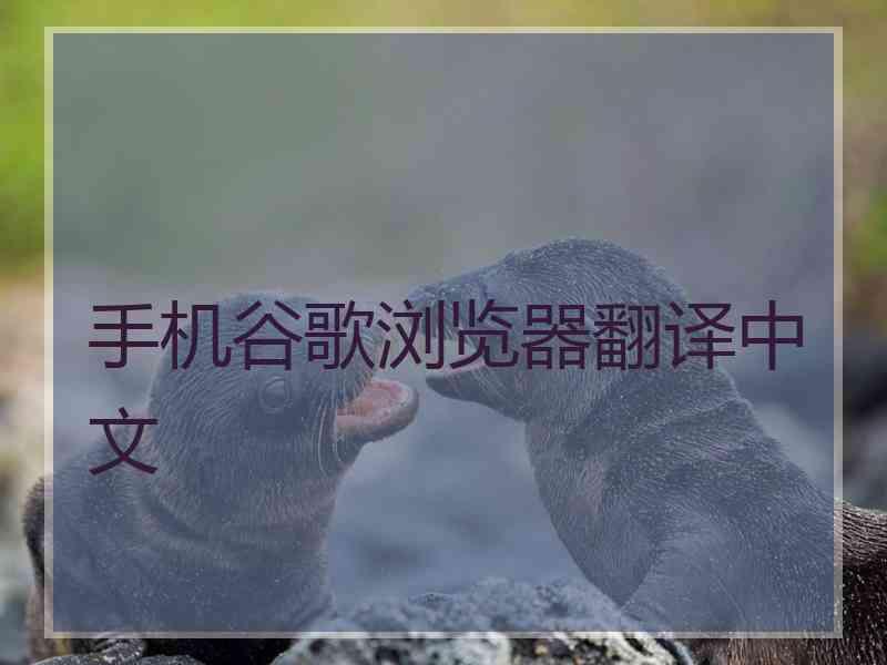 手机谷歌浏览器翻译中文