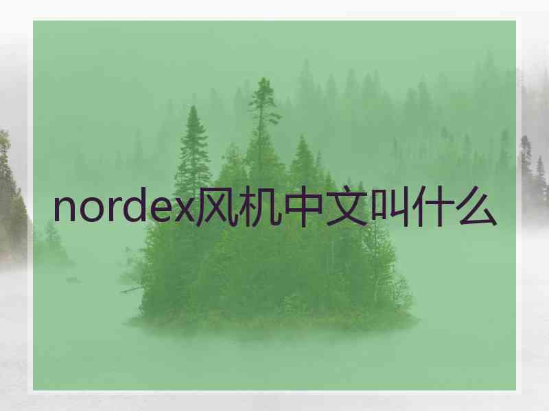 nordex风机中文叫什么