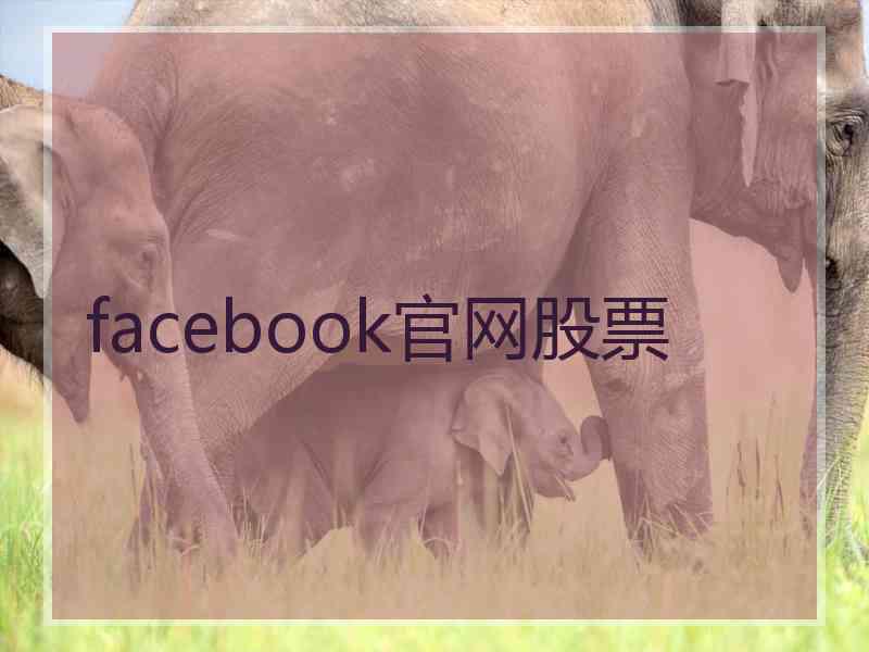 facebook官网股票