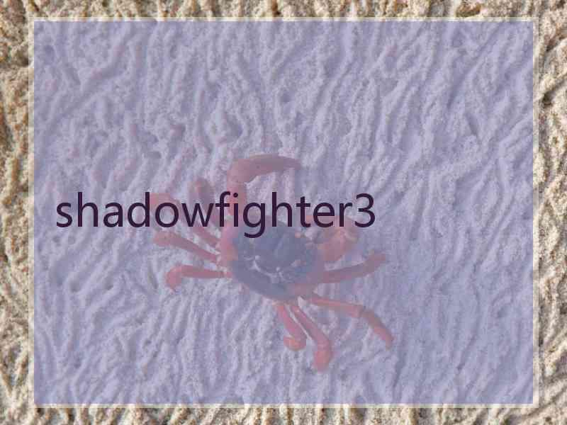 shadowfighter3