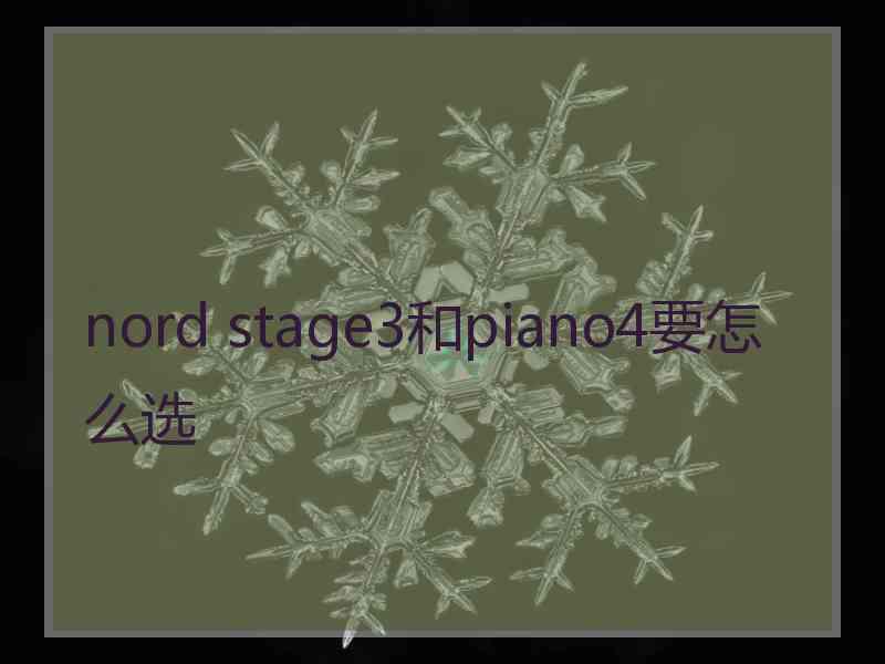 nord stage3和piano4要怎么选