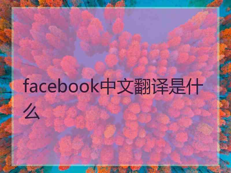 facebook中文翻译是什么